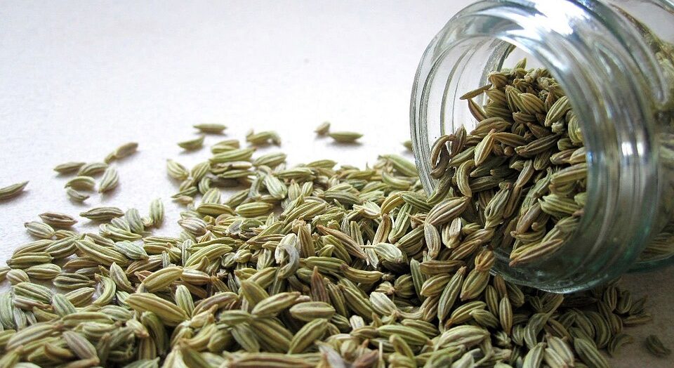 Discover the incredible health benefits of fennel seeds and how they can support your wellness journey with this comprehensive guide.