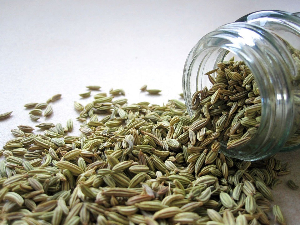 Discover the incredible health benefits of fennel seeds and how they can support your wellness journey with this comprehensive guide.